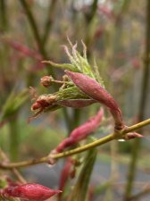 IMG_6758.jpeg