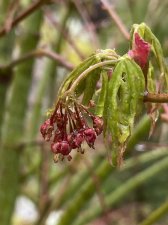 IMG_6712.jpeg