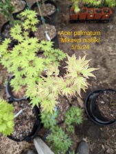PXL_20240505_163429997.MP~2.jpg