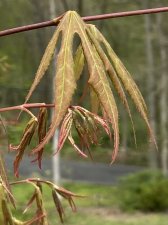 IMG_7020.jpeg