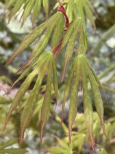 IMG_7023.jpeg