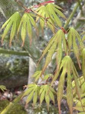 IMG_7028.jpeg