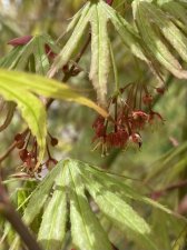 IMG_7036.jpeg