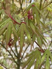 IMG_7040.jpeg