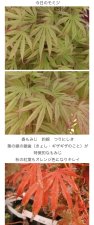 IMG_3577.jpeg