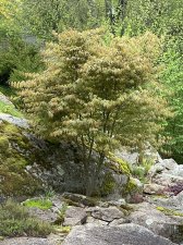 IMG_7114.jpeg