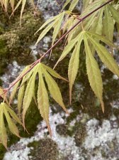 IMG_7145.jpeg