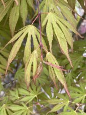 IMG_7157.jpeg