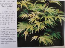 IMG_20240509_175135.jpg