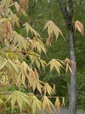 IMG_7466.jpeg