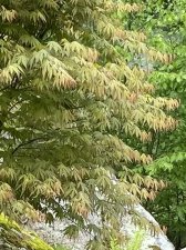 IMG_7465.jpeg