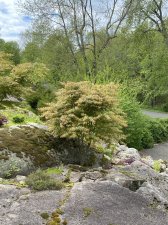 IMG_7542.jpeg