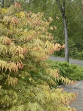 IMG_7544.jpeg
