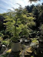 IMG_2974.jpeg