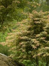 IMG_7766.jpeg