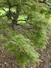 IMG_7773.jpeg