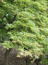 IMG_7774.jpeg