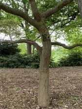 IMG_7804.jpeg