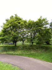 IMG_7925.jpeg