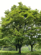 IMG_7927.jpeg