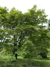 IMG_7929.jpeg