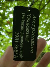 IMG_7995.jpeg