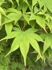 IMG_7998.jpeg