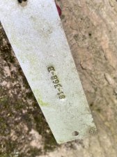 IMG_7930.jpeg