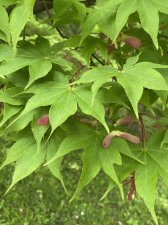 IMG_7937.jpeg