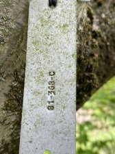 IMG_7950.jpeg
