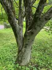 IMG_7951.jpeg