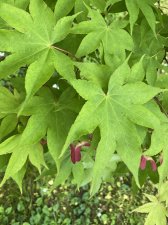 IMG_7958.jpeg
