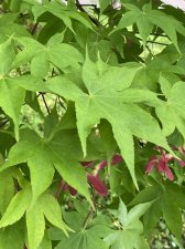 IMG_7955.jpeg