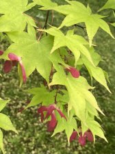 IMG_8015.jpeg