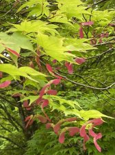 IMG_8014.jpeg