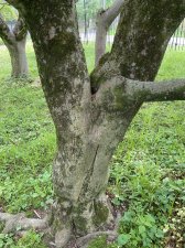 IMG_7969.jpeg