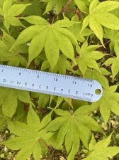 IMG_7977.jpeg