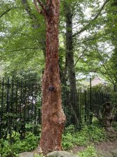 IMG_8162.jpeg