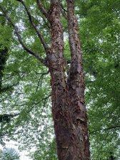 IMG_8191.jpeg