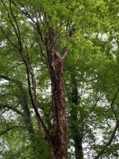 IMG_8166.jpeg