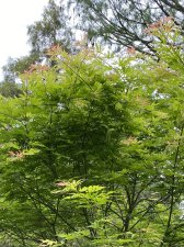 IMG_7889.jpeg