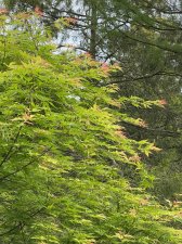 IMG_7913.jpeg
