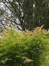 IMG_7894.jpeg