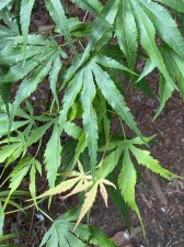 IMG_7816.jpeg