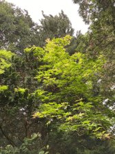 IMG_7831.jpeg