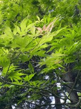 IMG_7830.jpeg