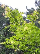 IMG_7826.jpeg