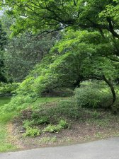 IMG_8209.jpeg