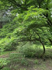 IMG_8207.jpeg