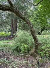IMG_8042.jpeg
